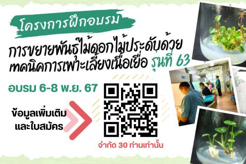 BN-ฝากขาวอบรม-Web-กพส.jpg