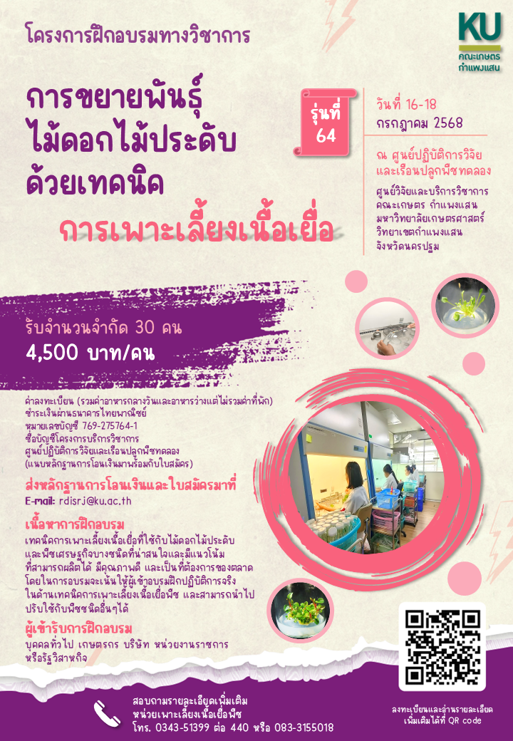 798415654 p